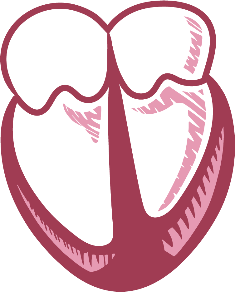 Clip Art (960x960), Png Download