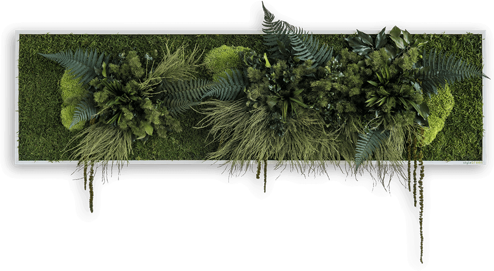 Green Wall Picture With Plants Sized 140 X 40 Cm Natural - Style Green Pflanzenbilder (1000x552), Png Download