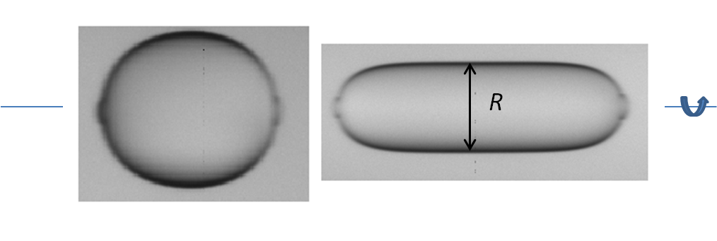 Droplets - Monochrome (1014x341), Png Download