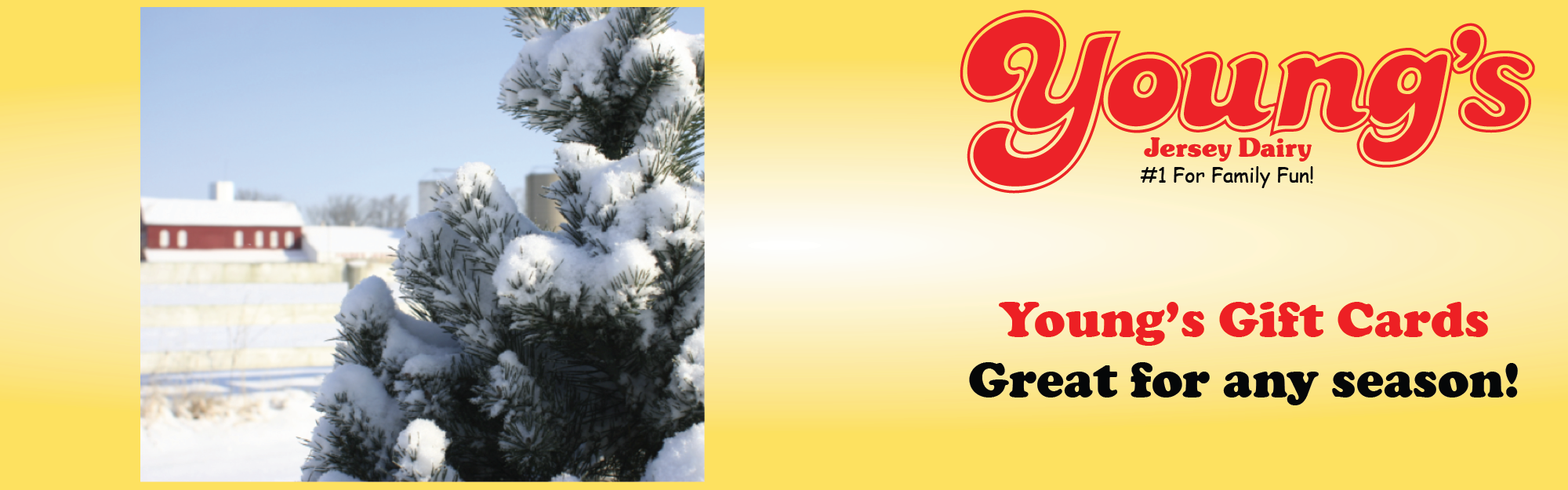 Image Information (2000x625), Png Download