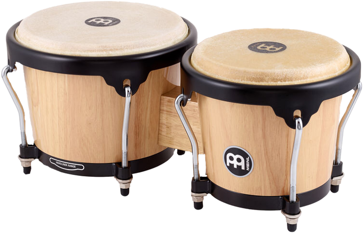 Bongo Cat (747x480), Png Download