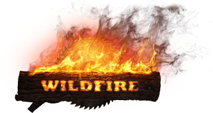 Wf Logo - Flame (1000x493), Png Download
