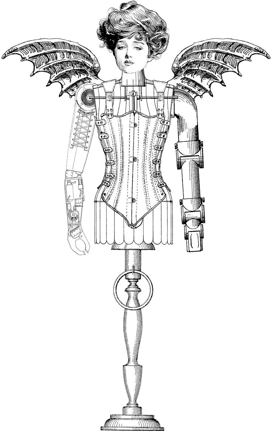 Http - //3 - Bp - Blogspot - Com/ - Png - Social Ladder 1902 Woman 12 Poster Print (982x1600), Png Download