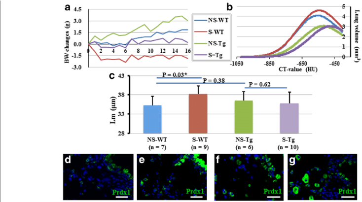Effect Of Chronic Injury With Cigarette Smoke On Aldh2*2 - Common Fig (850x409), Png Download