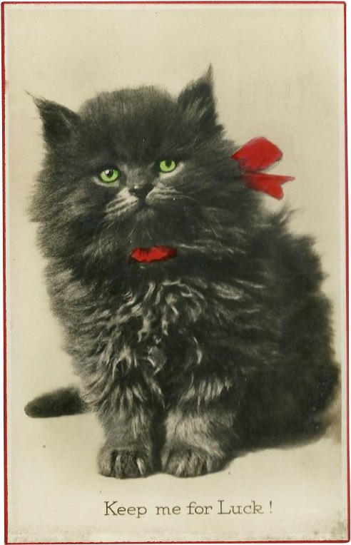 Real Photograph Gel Postcard Of Black Kitten For Luck - Domestic Long-haired Cat (763x763), Png Download