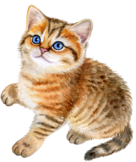 Kittens Banner Black And White Stock - Illustration (600x600), Png Download