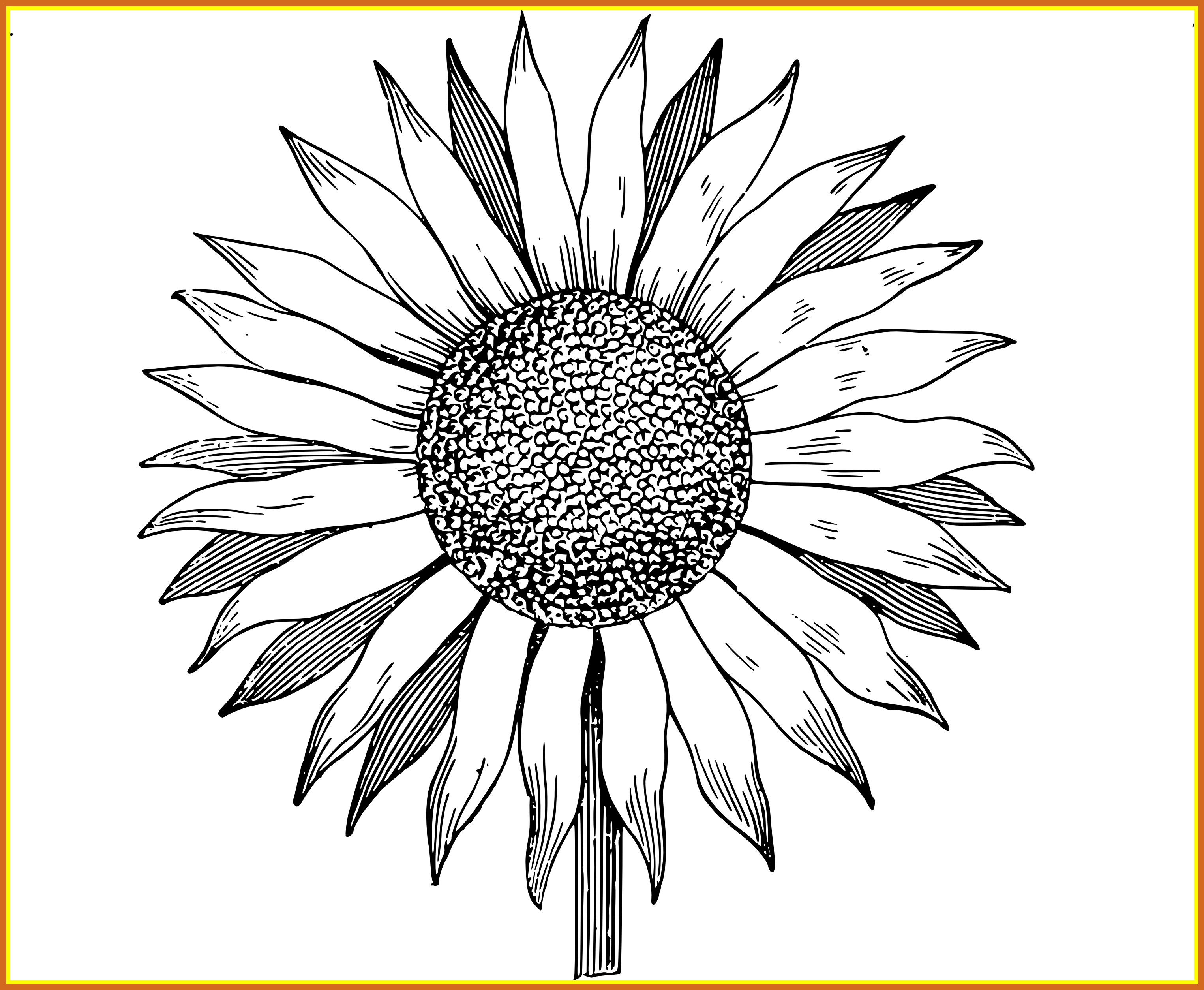 Free Free 314 Clear Background Sunflower Clipart Transparent Transparent Sunflower Border Png SVG PNG EPS DXF File
