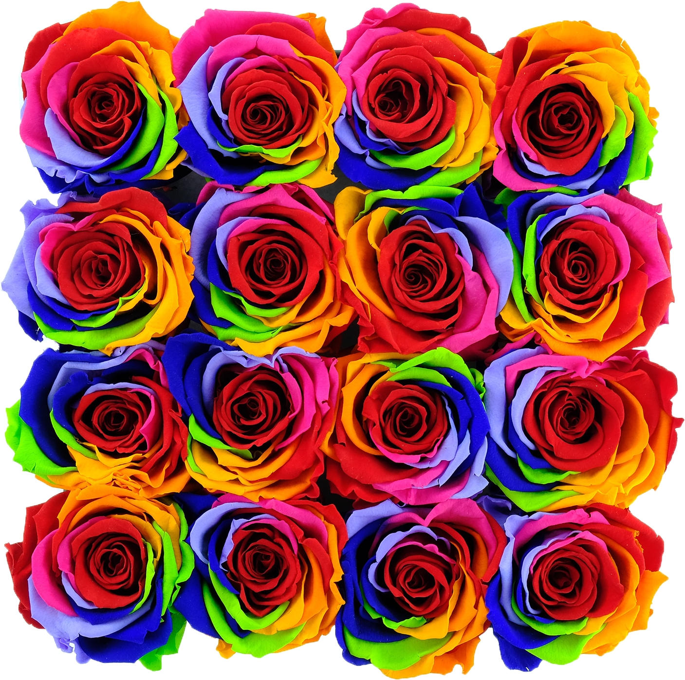 Rainbow Preserved Roses (2048x2048), Png Download