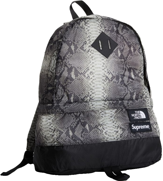 Supreme/the North Face Snakeskin Lightweight Daypack - Backpack (1080x1080), Png Download