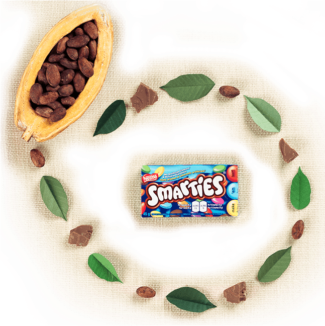 Learn About Our Commitment To Sustainable Cocoa Farming - Nestle Smarties Ice Cream Cone 6 X 70ml (646x657), Png Download