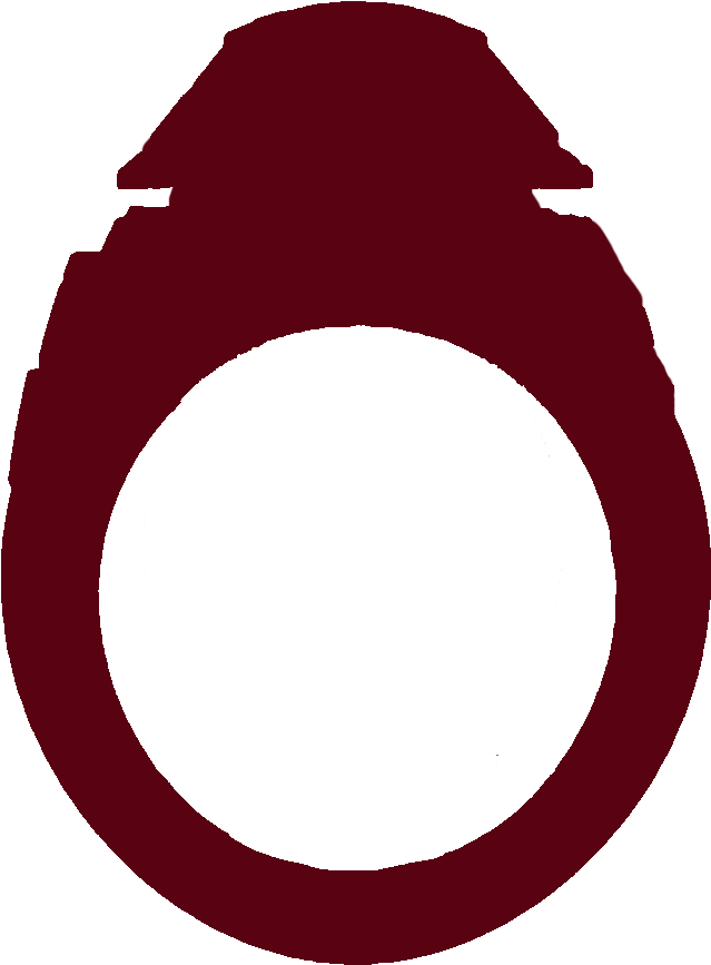 This Past Fall, The Ring For The Class Of 2017 Was - Class Ring Clip Art (752x945), Png Download