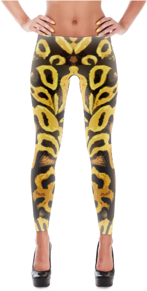 Reptile Rooms Leggings - Women's Leggings - Back To Prep - Xs (600x600), Png Download