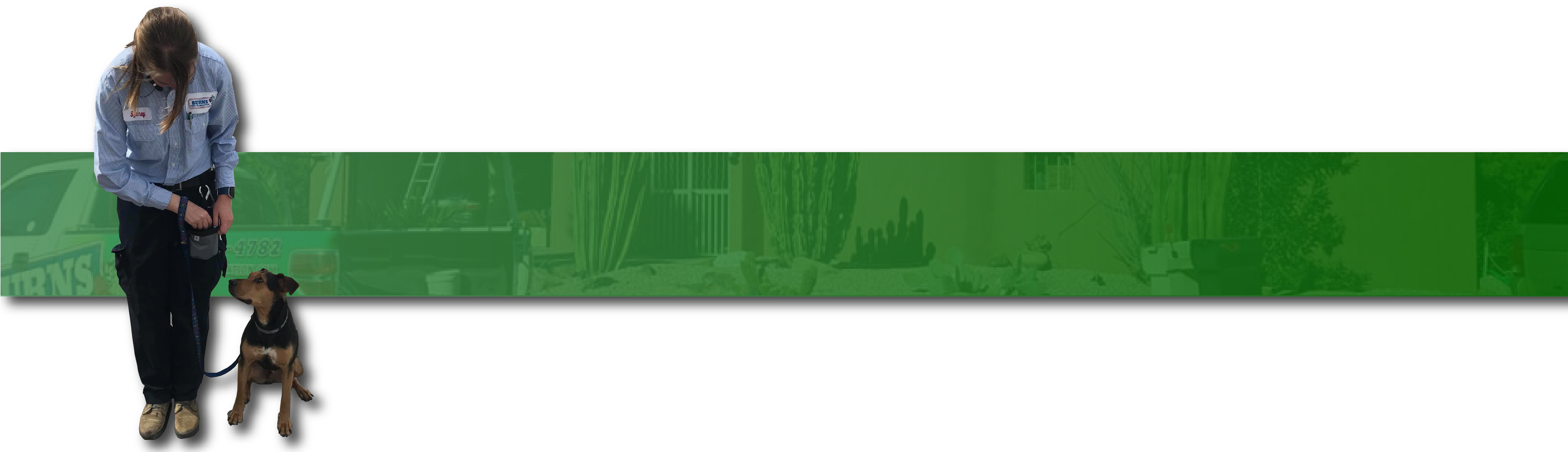 Bed Bugs - Christmas Tree (6004x1751), Png Download