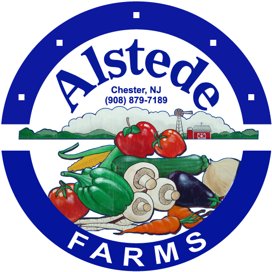 Strawberry & Radish Salad - Alstede Farms (573x562), Png Download