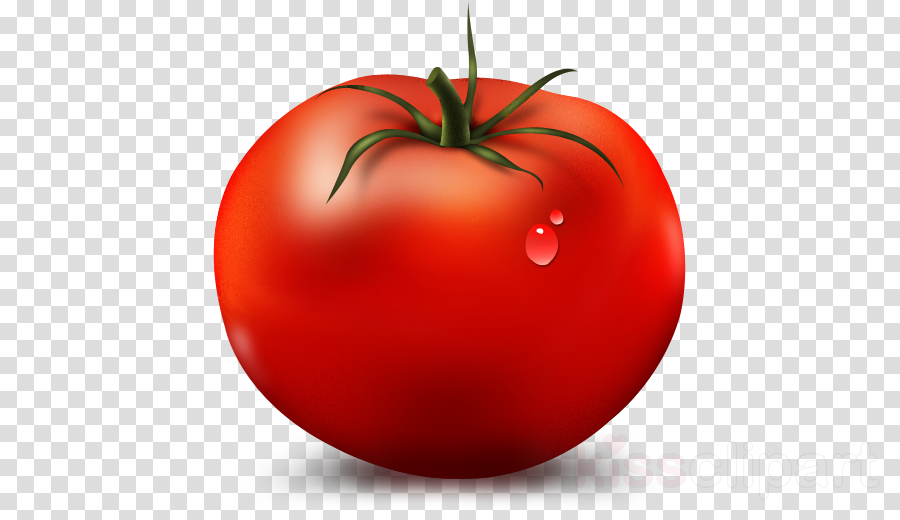 Transparent Camera Png Icon (900x520), Png Download