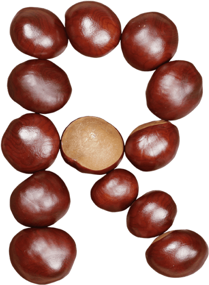 Chestnut Font - Font (595x595), Png Download