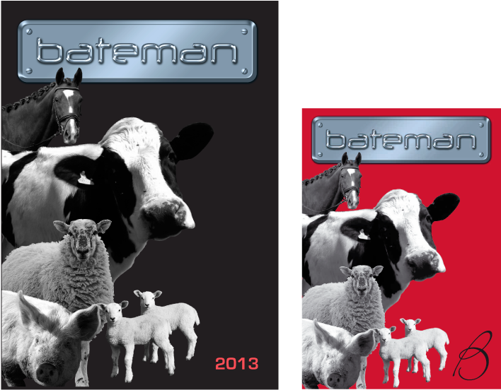 Click The Link To View Enlarged Images Of The Bateman - Product (800x600), Png Download