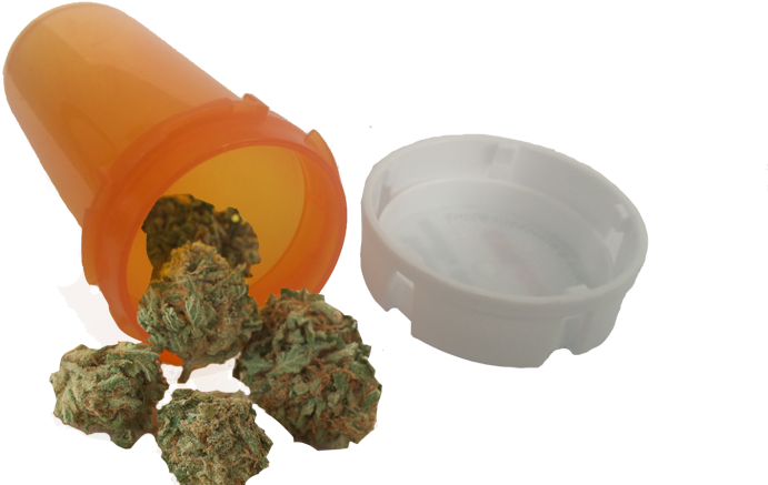 Pote Cannabis - Tree (770x440), Png Download