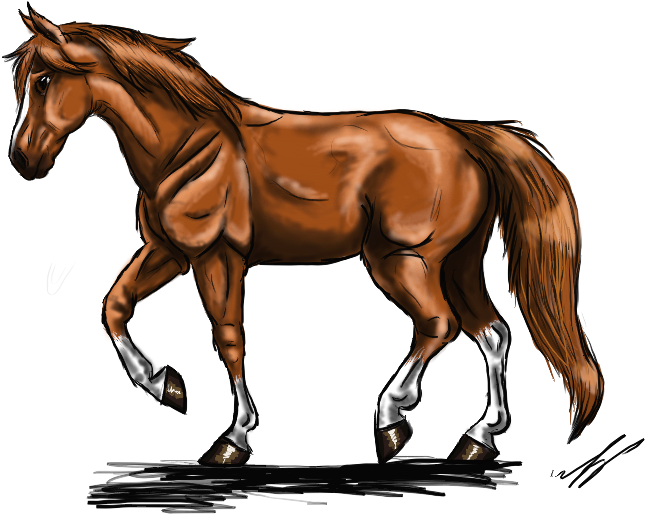 Chestnut (800x600), Png Download