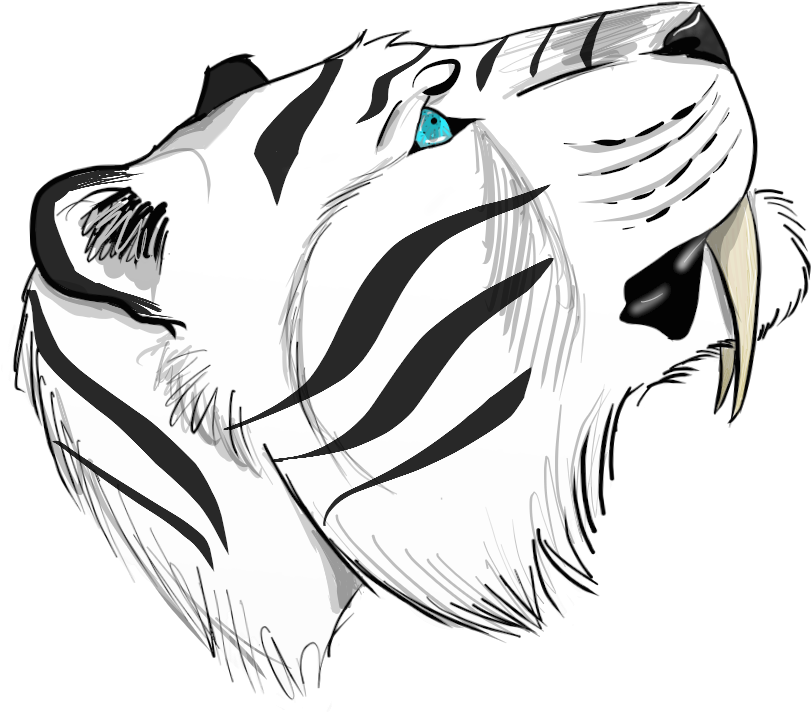 Details - Sketch (1058x1058), Png Download