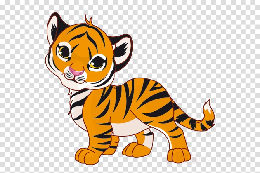 Baby Tiger Cartoon Clipart Tiger Stock Photography - Drawings Of Baby Tiger (900x600), Png Download