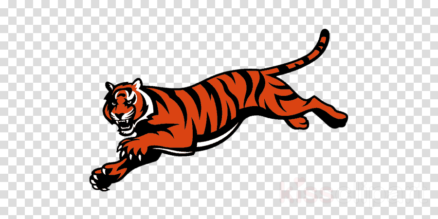 Cincinnati Bengals Logo Clipart Cincinnati Bengals - Cincinnati Bengals Logo (900x450), Png Download