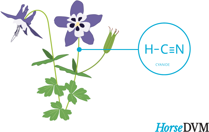 Columbine Toxic Components (767x533), Png Download