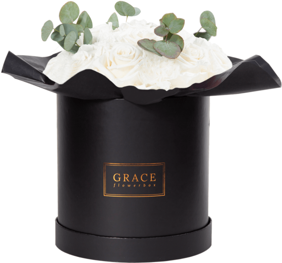 White Carnation - Cylinder (600x577), Png Download