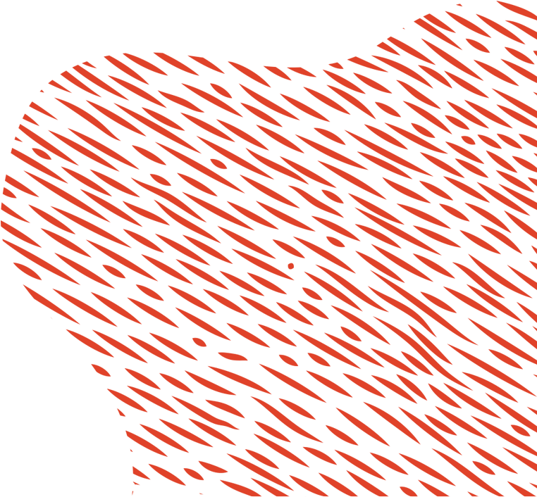 Insure Your Life - Accomplish Insurance - Life Insurance, Disability Insurance (1440x882), Png Download