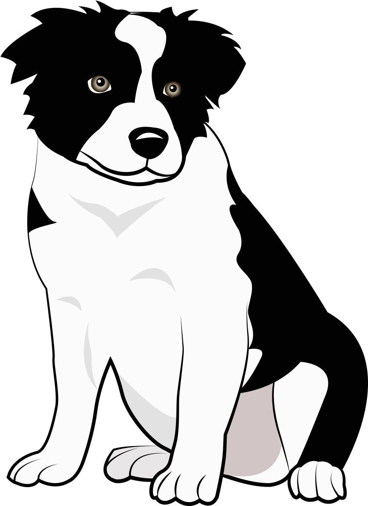 Boder Collie (1465x1094), Png Download