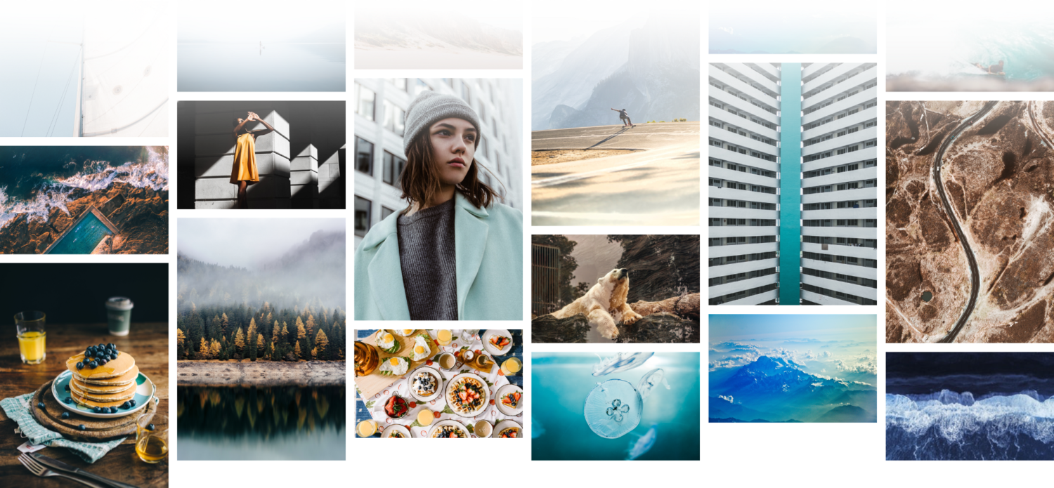Photography Site Unsplash Raises $7,25 With Ost As - Golden Trees On Foggy Autumn Lake: 150 Page Lined 6 (1500x695), Png Download