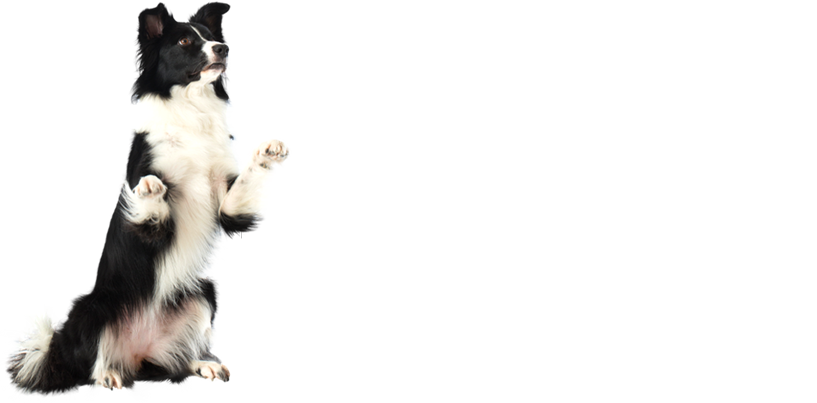 S2 - Expert (817x403), Png Download