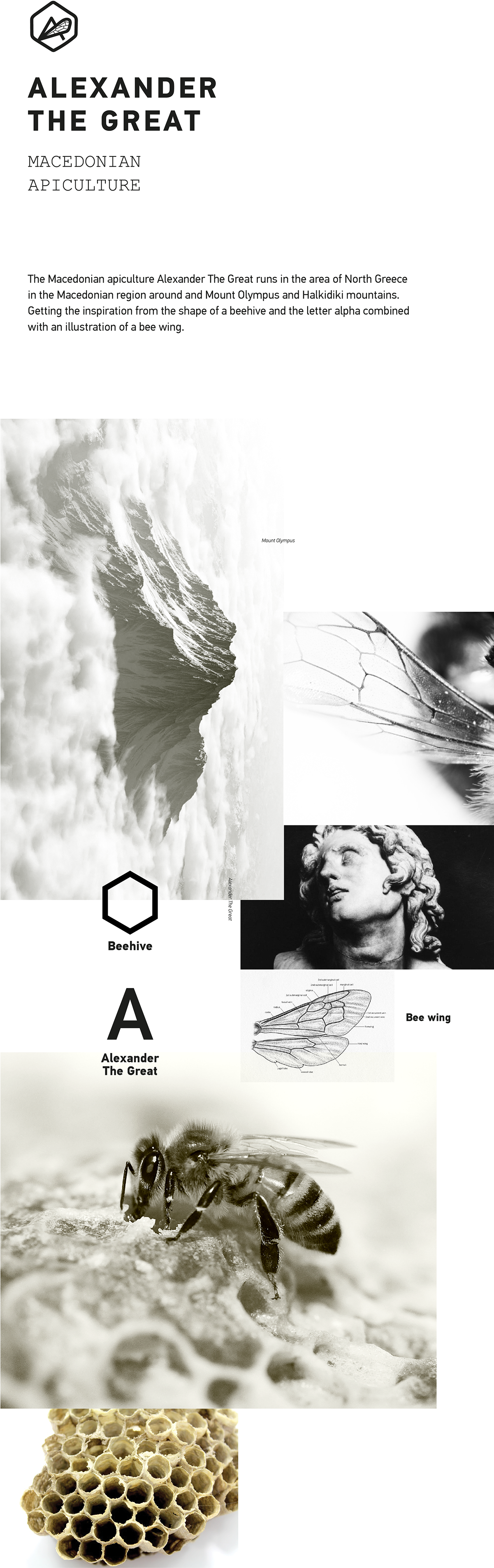 Sketch (1200x4197), Png Download