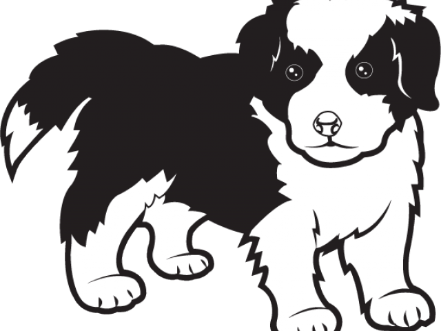 Border Collie Clipart (640x480), Png Download