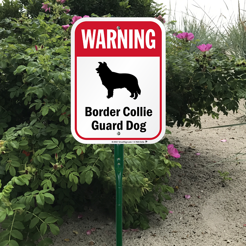 Warning Border Collie Guard Dog Lawnboss™ Signs - Smartsign By Lyle K-7632-dachshund-al-12x18 Warning (800x800), Png Download