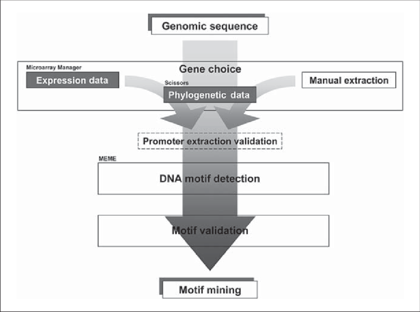 Download - Diagram (850x632), Png Download