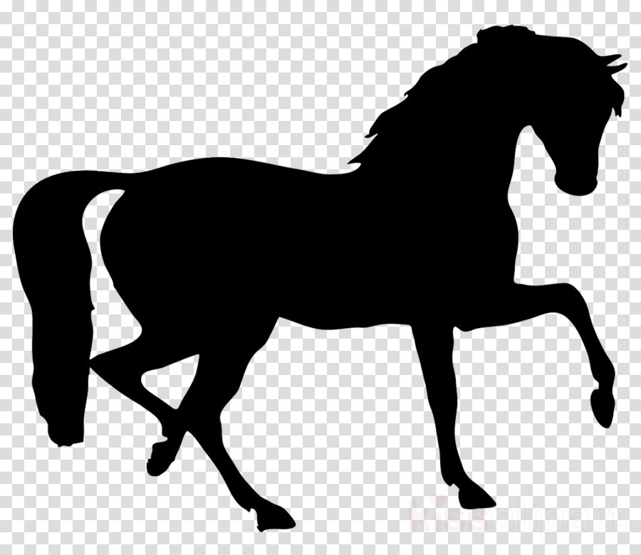 Animal Silhouettes Horse Clipart Horse Animal Silhouettes - Daryl The Pony Of Love (900x780), Png Download