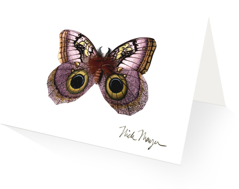 Owl Butterfly - American Painted Lady (1024x825), Png Download