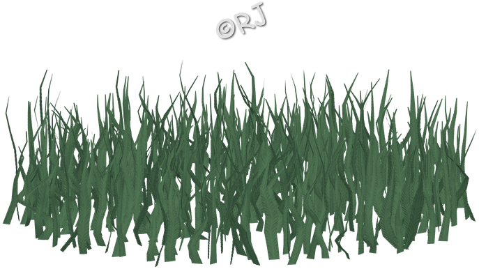 Some Images Shown Smaller Than Actual Size - Grass Family (735x435), Png Download