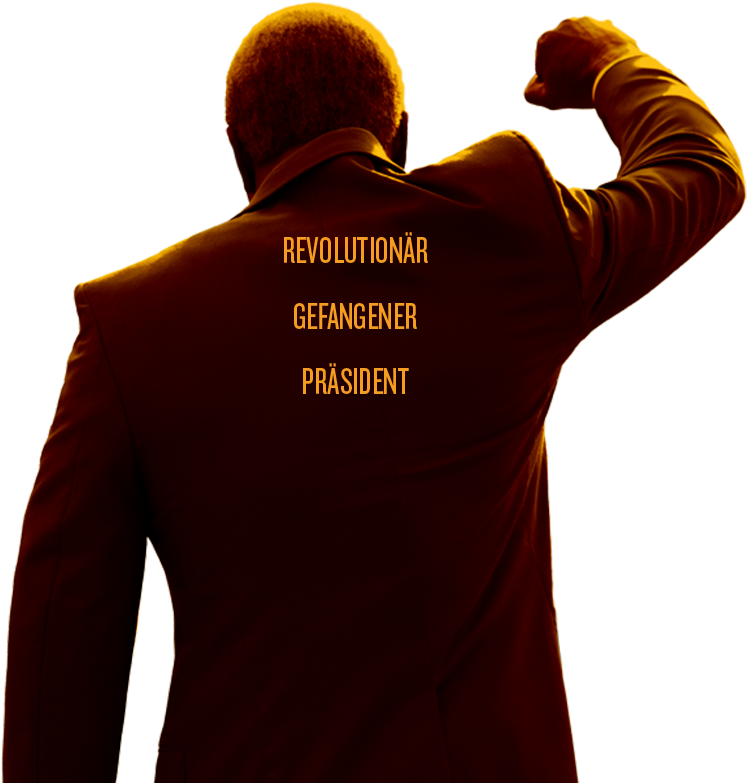 Der Lange Weg Zur Freiheit - Gebraucht: Mandela - Der Lange Weg Zur Freiheit (768x788), Png Download