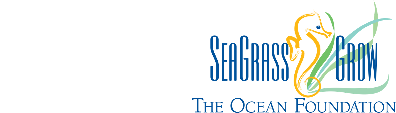 New Dimensions In Banjo (1900x524), Png Download