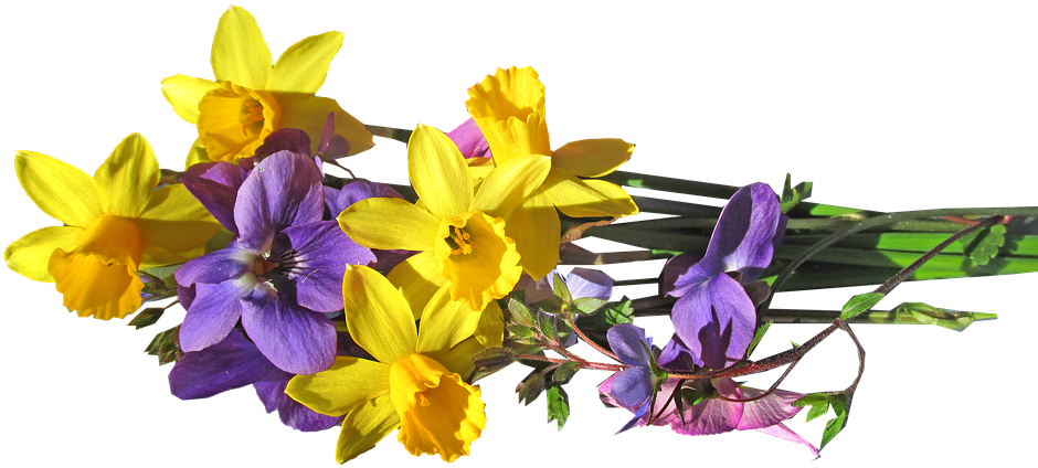 Flower, Bunch, Spring - Yellow Purple Flowers Png (960x510), Png Download