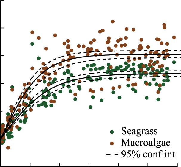 Curves For Hourly Rates Of Gross Primary Production - Newspaper Front Page Layout Design (607x561), Png Download
