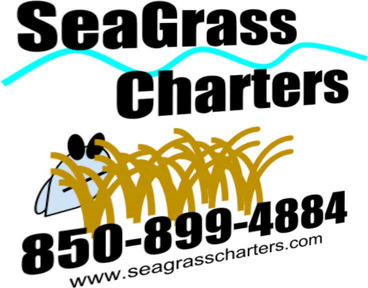 Haughty Heron (960x720), Png Download