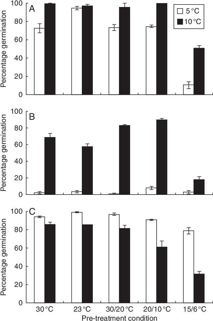 Final Percentage Germination Of Hyacinthodes Non-scripta, - Helicobacter Pylori Infection (702x1063), Png Download