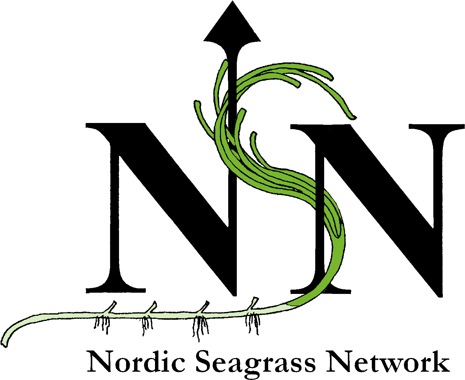 Download Nordic Seagrass Network Logo From - Nsn Logo (1782x1437), Png Download