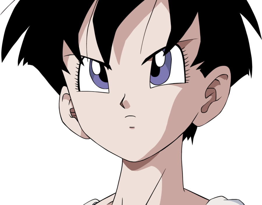 0/10 Looks Like Videl - Dragon Ball Z Videl (900x706), Png Download