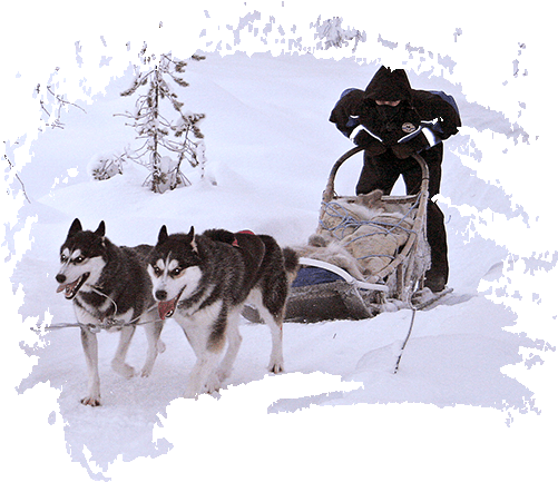 5 Day<br>expedition - Sled Dog Racing (500x450), Png Download