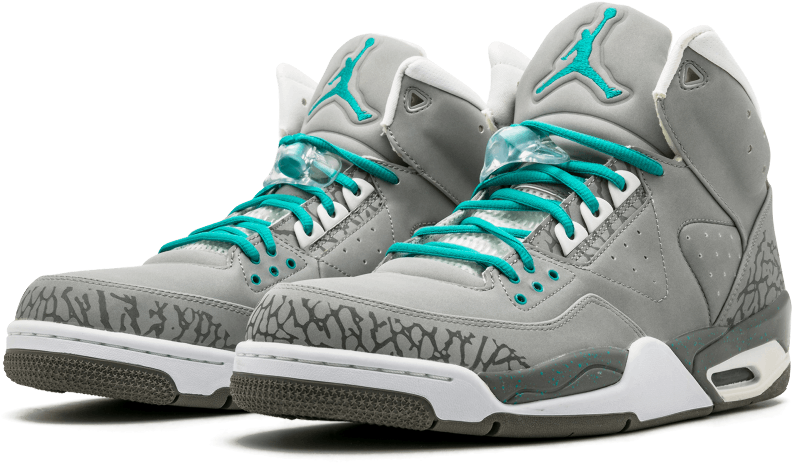 Most Jordan Fans Know About The Jordan Dub Zero, Spiz'ike - Most Rare Jordans Ever Png (1000x600), Png Download