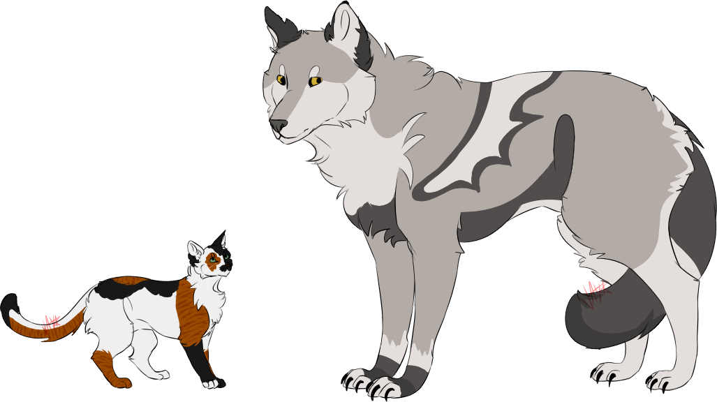 Recent Images - Mackenzie River Husky (1027x576), Png Download